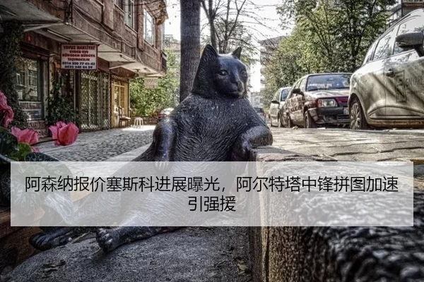 a-sen-na-bao-jia-sai-si-ke-jin-zhan-bao-guang-a-er-te-ta-zhong-feng-pin-tu-jia-su-yin-qiang-yuan-2-125.jpg